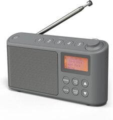 Радио Dab/Dab Plus/FM, небольшие цифровые радиопоративные батареи, Mini Radio Digital Akku & Network Cocpociation Radio, USB -зарядная кабель (Grey) цена и информация | Радиоприемники и будильники | 220.lv
