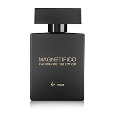 Parfimēts ūdens Magnetifico Pheromone Selection For Man EDP vīriešiem, 100 ml cena un informācija | Vīriešu smaržas | 220.lv