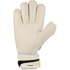 Вратарские перчатки Puma evoPOWER Grip 2.3 GC 04122301, серые цена и информация | Перчатки вратаря | 220.lv