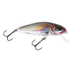 Воблер Perch 12F 12cm/36g/2.0-4.0m HGS цена и информация | Воблеры, приманки, блесны | 220.lv