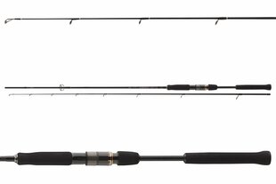 Spinings Daiwa Airity Jigger, 2,4 m, 8-35 g cena un informācija | Makšķeres, spiningi, makšķeru turētāji un statīvi | 220.lv