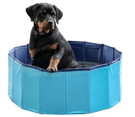 Бассейн для собак Petitto, 160x30 см, синий цена и информация | Средства по уходу за животными | 220.lv
