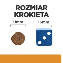 Hill's PD K/D Kidney + Mobility pieaugušiem suņiem, 4 kg cena un informācija | Sausā barība suņiem | 220.lv