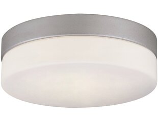 G.Lux универсальная лампа GT-900/2 IP44 цена и информация | Потолочные светильники | 220.lv