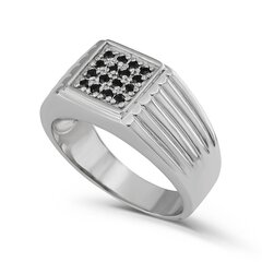 Серебряное (925) кольцо с драгоценными камнями, код ah5sr1396, EU-67 (~21,25 мм) AH5SR1396EU-67 цена и информация | Кольца | 220.lv