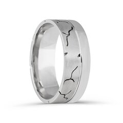 Серебряное (925) кольцо с классическим дизайном, код ah5ss8167, EU-66 (~21 мм) AH5SS8167EU-66 цена и информация | Кольца | 220.lv