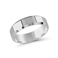 Серебряное (925) кольцо с классическим дизайном, код ah5sr7153, EU-63 (~20 мм) AH5SR7153EU-63 цена и информация | Кольца | 220.lv
