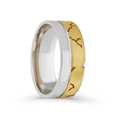 Серебряное (925) кольцо с классическим дизайном, код ah5ss8171, EU-57.5 (~18,25 мм) AH5SS8171EU-57.5 цена и информация | Кольца | 220.lv