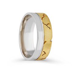 Серебряное (925) кольцо с классическим дизайном, код ah5ss8171, EU-61 (~19,5 мм) AH5SS8171EU-61 цена и информация | Кольца | 220.lv