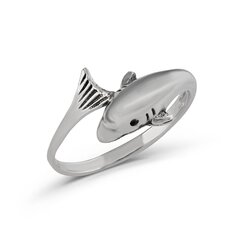 Серебряное (925) кольцо с классическим дизайном, код ah5sr5384, EU-53 (~16,75 мм) AH5SR5384EU-53 цена и информация | Кольца | 220.lv