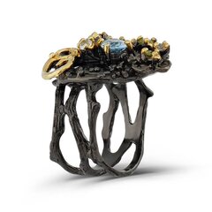Серебряное (925) кольцо с драгоценными камнями, код f50350, EU-57 (~18 мм) F50350EU-57 цена и информация | Кольца | 220.lv