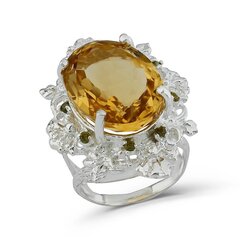 Серебряное (925) кольцо с драгоценными камнями, код f50352, EU-54 (~17,25 мм) F50352EU-54 цена и информация | Кольца | 220.lv