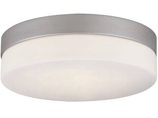 G.Lux универсальная лампа GT-900/3 IP44 цена и информация | Потолочные светильники | 220.lv