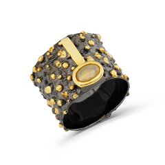 Серебряное (925) кольцо с драгоценными камнями, код f50360, EU-53.5 (~17 мм) F50360EU-53.5 цена и информация | Кольца | 220.lv