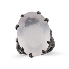 Серебряное (925) кольцо с драгоценными камнями, код f50365, EU-57 (~18 мм) F50365EU-57 цена и информация | Кольца | 220.lv