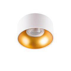 Kanlux GU10 W/G apaļais gaismeklis cena un informācija | Iebūvējamās lampas, LED paneļi | 220.lv