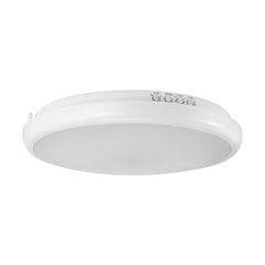 Edytor griestu lampa LED C MVS 15W NW cena un informācija | Griestu lampas | 220.lv