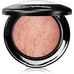 Pūderis Mac Mineralize Skinfinish Cheeky Bronze Highlighter, 10 g цена и информация | Пудры, базы под макияж | 220.lv