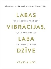 Labas vibrācijas, laba dzīve cena un informācija | Sociālo zinātņu grāmatas | 220.lv