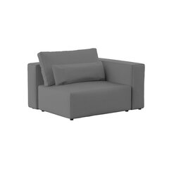 Dīvāna modulis Riposo Grande, 125x105x85cm, pelēks cena un informācija | Dīvāni | 220.lv