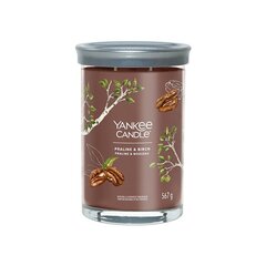 Yankee Candle Aromatinė žvakė Signature tumbler large Praline - Beržas 567 g цена и информация | Подсвечники, свечи | 220.lv