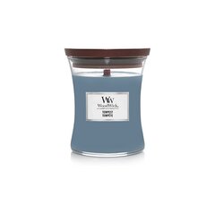 WoodWick Vāzes aromātiskā svece Tempest 275 g cena un informācija | Sveces un svečturi | 220.lv