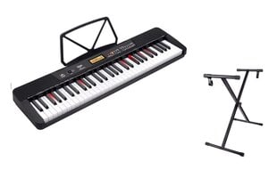 Органные клавиатуры V-TONE VK 200-61L со светодиодами на подставке цена и информация | Клавишные музыкальные инструменты | 220.lv