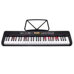 Органные клавиатуры V-TONE VK 200-61L со светодиодами на подставке цена и информация | Клавишные музыкальные инструменты | 220.lv
