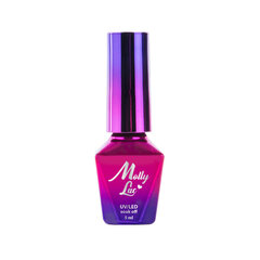 Nagu laka Molly Lac Mirror Top Coat, 5ml cena un informācija | Nagu lakas, stiprinātāji | 220.lv