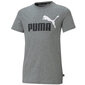 Puma T-Krekli Ess+ 2 Col Logo Tee Grey 586985 03 цена и информация | Zēnu krekli | 220.lv