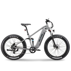 Электрический велосипед APE RYDER 26 Buffalo-F Nardo серый цена и информация | Электровелосипеды | 220.lv