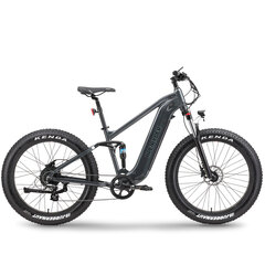 Электрический велосипед APE RYDER 26 Buffalo-F черный цена и информация | Электровелосипеды | 220.lv