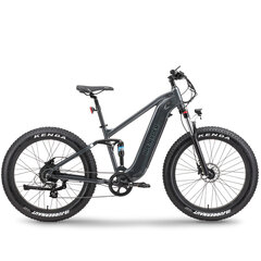 Elektriskais velosipēds Ape Ryder 26 Buffalo-F, 26", melns cena un informācija | Elektrovelosipēdi | 220.lv