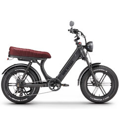 Elektriskais velosipēds Ape Ryder 20 MD10 Pro Antracite, 20", pelēks цена и информация | Электровелосипеды | 220.lv