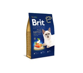 Brit Premium Cat Adult Salmon сухой корм для кошек, 8 кг. цена и информация | Сухой корм для кошек | 220.lv