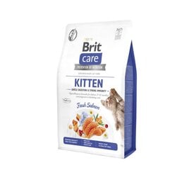Brit Care Cat GF Kitten Gentle Digestion&Strong Immunity сухой корм для кошек, 7 кг. цена и информация | Сухой корм для кошек | 220.lv