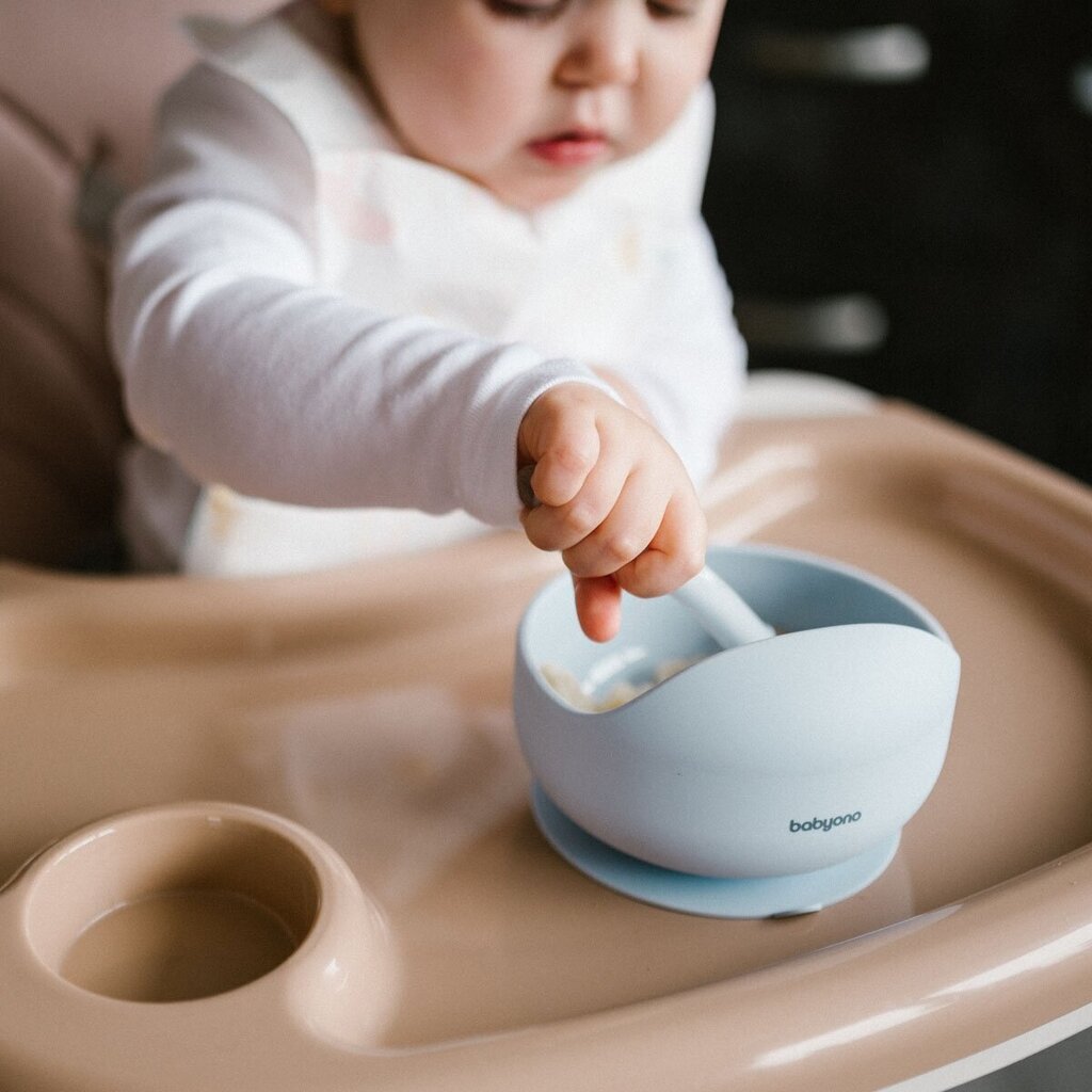 Šķīvis ar lipīgu apakšu BabyOno 1481/01, zils cena un informācija | Bērnu trauki, piena uzglabāšanas trauciņi un piederumi | 220.lv