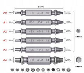 НАБОР ВИНТОВЫХ ЭКСТРАКТОРОВ ДЛЯ СЛОМАННЫХ ВИНТОВ 6 ЭЛ. цена и информация | Механические инструменты | 220.lv