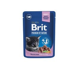 Brit Premium mitrā barība kaķiem, 100 g x 12 cena un informācija | Konservi kaķiem | 220.lv