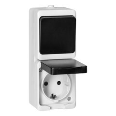 Однополюсный выключатель + 2P+Z розетка Schuko AQUATIC MINI IP54 белый и черный цена и информация | Электрические выключатели, розетки | 220.lv