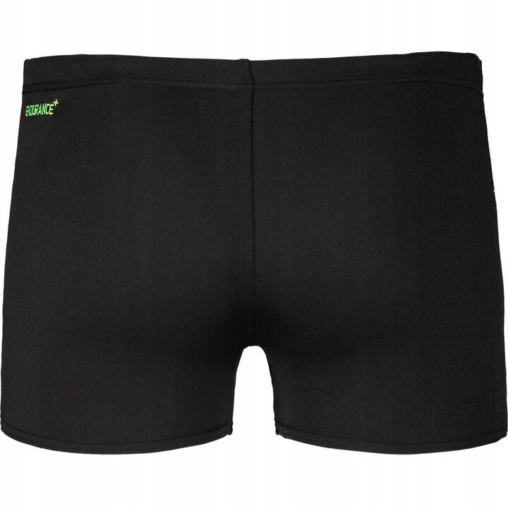 Peldšorti vīriešiem Speedo Sport Panel Short 811364C712, melni cena un informācija | Peldšorti, peldbikses | 220.lv