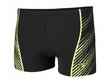 Peldšorti vīriešiem Speedo Sport Panel Short 811364C712, melni cena un informācija | Peldšorti, peldbikses | 220.lv