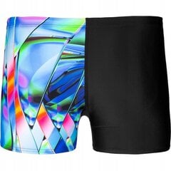 Peldšorti vīriešiem Speedo PLMT Digital Shorts 809734, dažādu krāsu цена и информация | Плавки, плавательные шорты | 220.lv