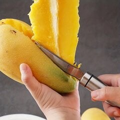 Deal mango griezējs, 1 gab. cena un informācija | Virtuves piederumi | 220.lv