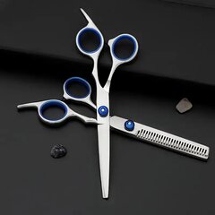Набор ножниц для стрижки волос из нержавеющей стали цена и информация | Средства по уходу за животными | 220.lv