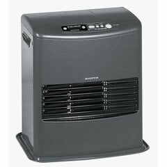 Smērvielu radiators Invertors 4000 W Pelēks cena un informācija | Sildītāji | 220.lv