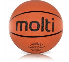 Баскетбольная доска с кольцом и сеткой Molti, 71х45 см цена и информация | Баскетбольные щиты | 220.lv