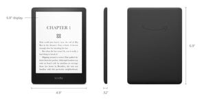Amazon Kindle Paperwhite Agave Green (AMZ-B09TMN58KL) цена и информация | Электронные книги | 220.lv