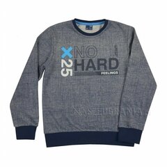 Džemperis zēniem G.T., zils cena un informācija | Zēnu jakas, džemperi, žaketes, vestes | 220.lv
