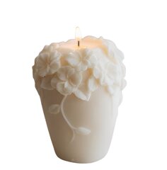 Sojas vaska svece, 1gab. cena un informācija | Sveces un svečturi | 220.lv